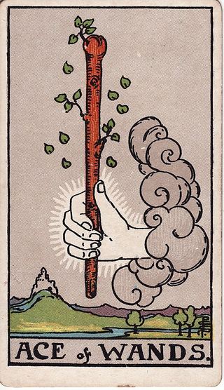 Ace of Wands tarot card